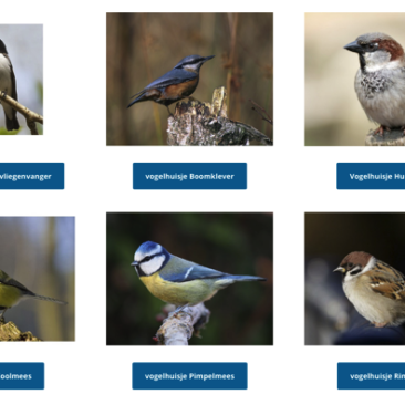 Bouwtekening nestkast koolmees stappenplan nodig?